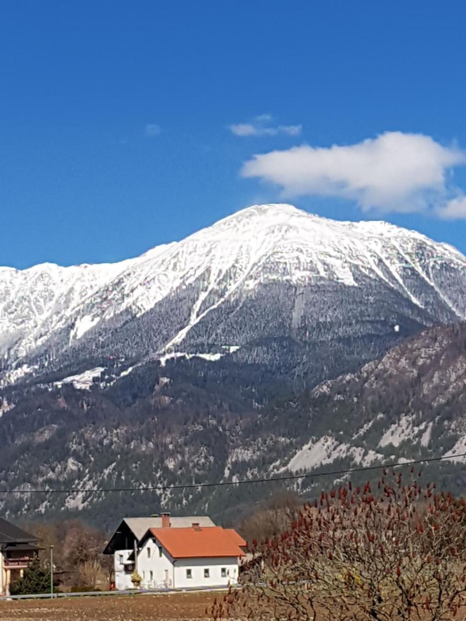 Vila Sejalec Villa Lesce  Luaran gambar